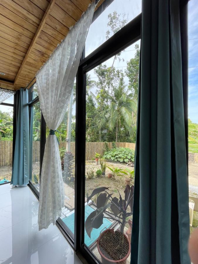 Casa Aguelo Chocolate Hills Bed & Breakfast Carmen  Eksteriør bilde