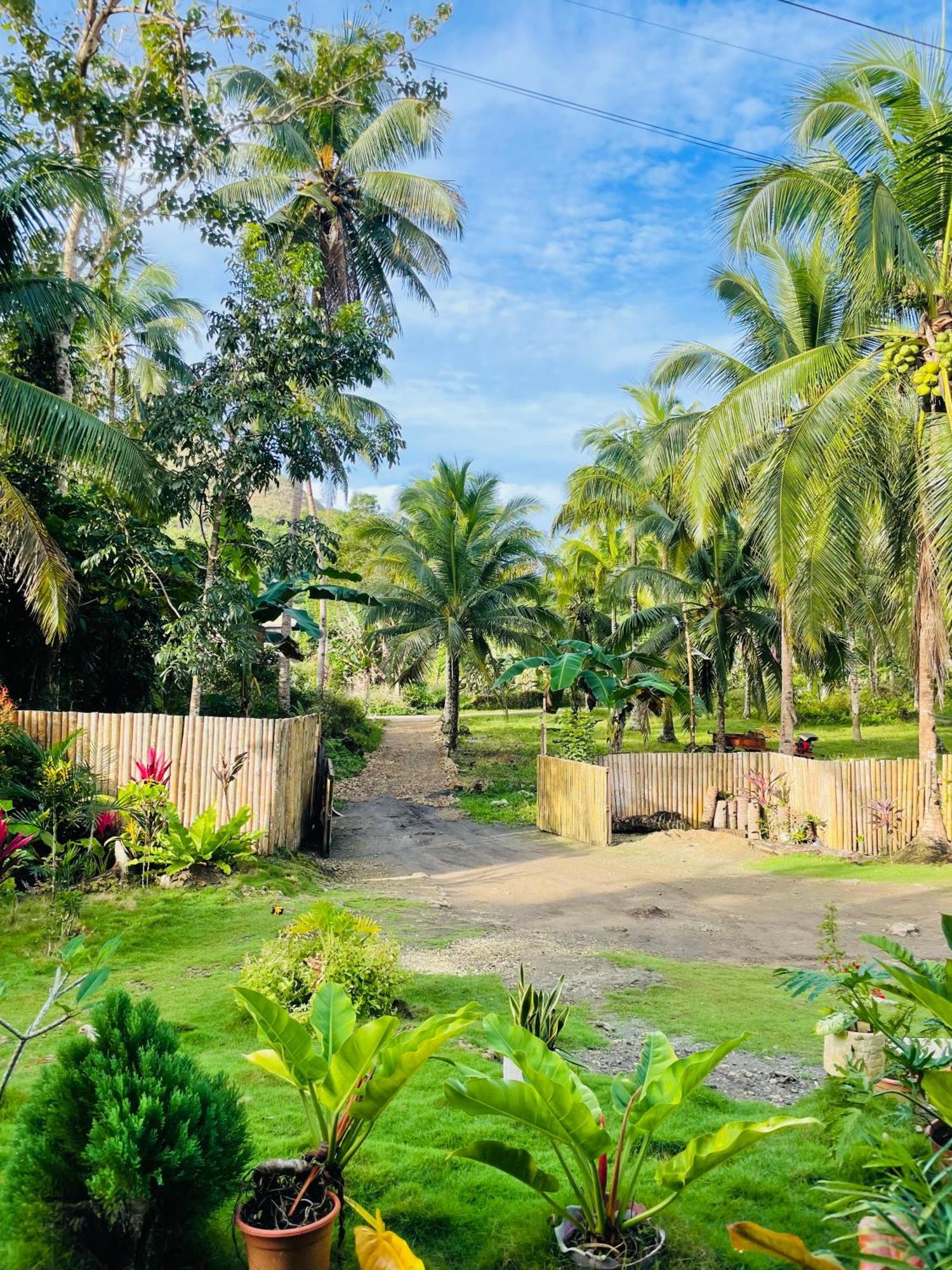 Casa Aguelo Chocolate Hills Bed & Breakfast Carmen  Eksteriør bilde