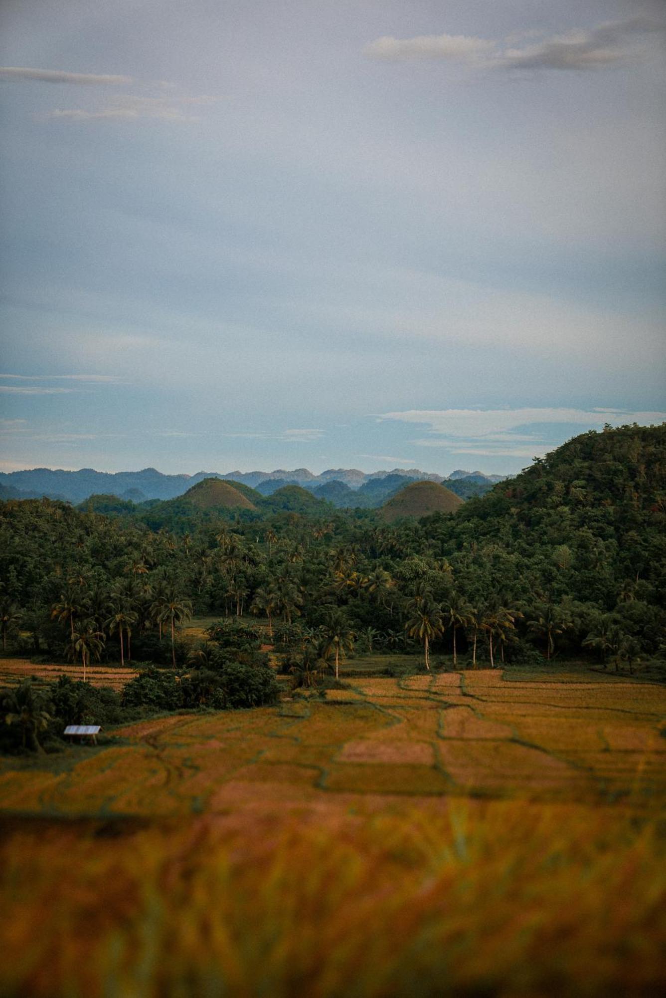 Casa Aguelo Chocolate Hills Bed & Breakfast Carmen  Eksteriør bilde